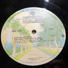 MICHAEL HOENIG: Departure From The Northern Wasteland LP - pikkukuva 2