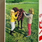 Pony Vintage Palapeli - pikkukuva 1