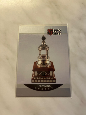 1990-91 Pro Set The Vezina Trophy Patrick Roy #391