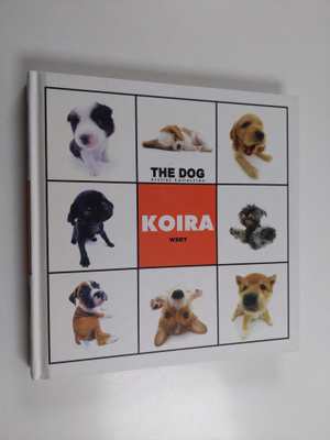 Koira