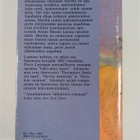 Doris Lessing : Lumous haihtuu - pikkukuva 2