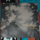 WEEPING WILLOWS ~ Presence ~ LP M-/M- - pikkukuva 1