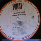 DAVE PERKINS :: THE INNOCENCE :: VINYYLI LP      1987 - pikkukuva 4
