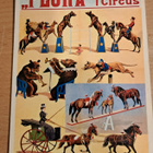 Flora Circus-juliste - kortti, käsipostissa 1990 - pikkukuva 1