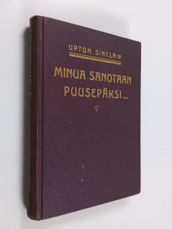 Upton Sinclair : Minua sanotaan puusepäksi : (Kristuksen ...