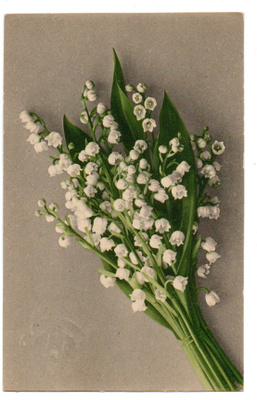 Vanha kortti, kielot, vuodelta 1928