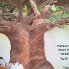 Taylor-Kielty: Pumpulin pehmoisin peti - pikkukuva 4