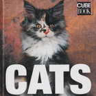 Cats - pikkukuva 1