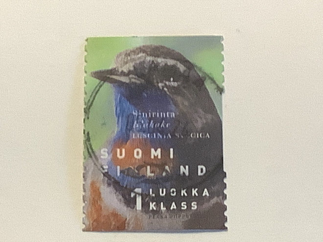 1457/ 1999 Sinirinta o leimattu loisto