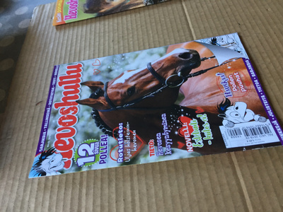 HEVOSHULLU 8/2019 HYVÄ