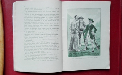 Den röda stormen (Indianboken 1933)