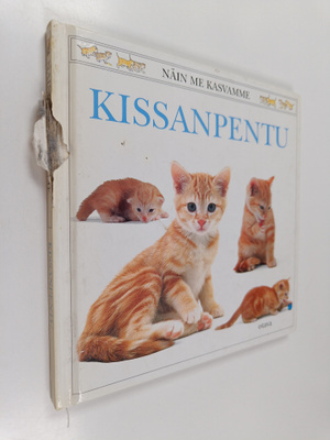 Jane Burton : Kissanpentu