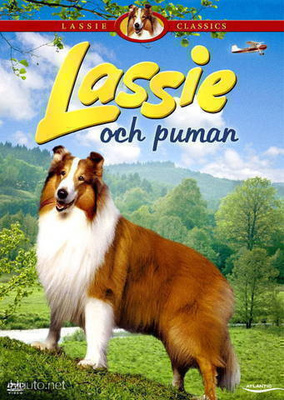 Lassie ja puuma - Flight of the Cougar DVD