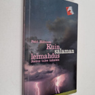 Petri Hiltunen : Kuin salaman leimahdus : Jeesus tulee ta... - pikkukuva 1