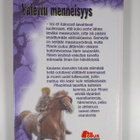 Maggie Mundy : Vaiettu menneisyys - pikkukuva 2
