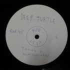 DEEP TURTLE - THERES A VOMIT SPRINKLER.. KOELEVY M FIN-94 LP - pikkukuva 2