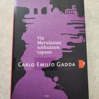 Via Merulanan sotkuinen tapaus Carlo Emilio Gadda - pikkukuva 1