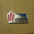 CCCP: kaksi vintage Artek-pioneerileiri -pinssiä - pikkukuva 4