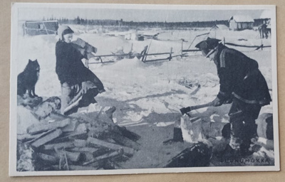 Purnumukka, lappilaiskylä, klapeja hakataan, talvikuva ei p.