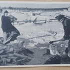Purnumukka, lappilaiskylä, klapeja hakataan, talvikuva ei p. - pikkukuva 1