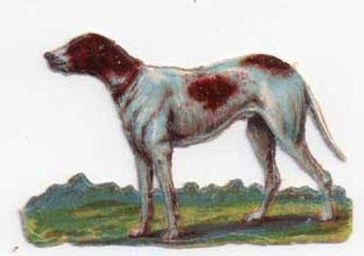 WANHA / Ruskea-valkoinen koira laaksossa. 1900-l.
