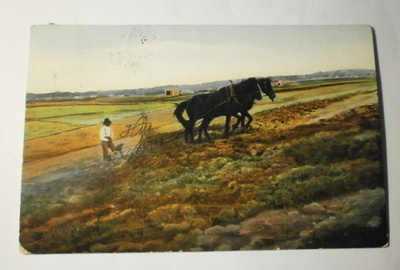 Parihevosilla äestämässä peltoa, vanha väripk, p. 1914
