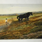 Parihevosilla äestämässä peltoa, vanha väripk, p. 1914 - pikkukuva 1