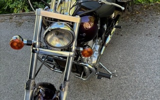 Kawasaki EN 500
