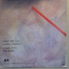 TOMAS LEDIN : WHAT ARE YOU DOING TONIGHT ? : VINYYLI 7" 1983 - pikkukuva 2