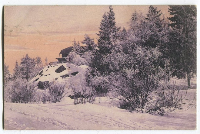 Helsinki Eläintarhasta, talvikuva, kulkenut 1911