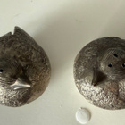 Maustepurkkisetti lintuaiheella metallikorissa - pikkukuva 4