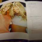 Fahrman & Fors : BODYLICIOUS !  ( 1 p. 2014 ) SIS.PK ! - pikkukuva 2