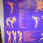 SANTANA :: MARATHON :: VINYYLI LP 1979 !!! - pikkukuva 5
