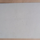 Naantali, Kultaranta,presidenttipari Lauri ja Signe Relander - pikkukuva 2