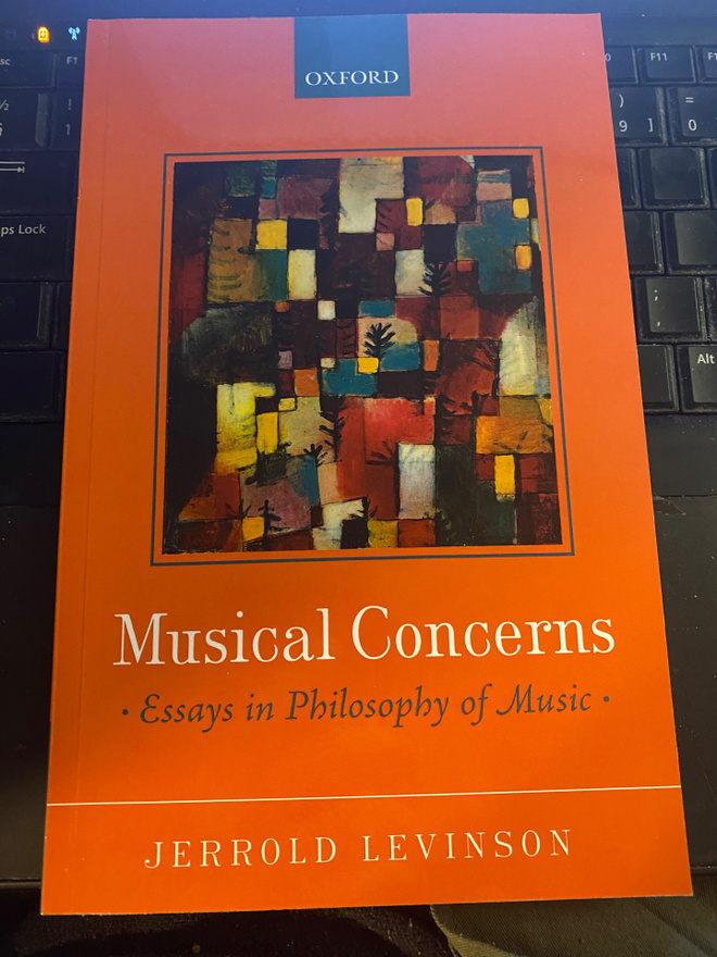 Musical Concerns. Essays on Philosophy of Music