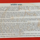 Etelä-Afrikka, Wildlife the Rhino 2 + 1 + 0,5 + 1/4 oz hopea - pikkukuva 4