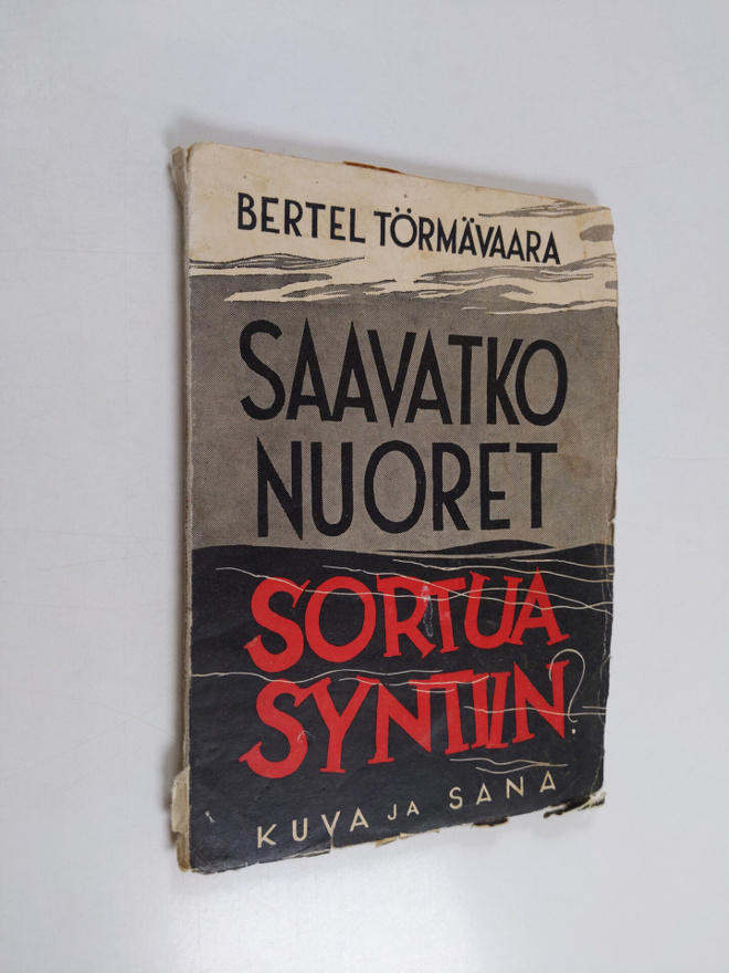 Bertel Törmävaara : Saavatko nuoret sortua syntiin?