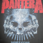 Bändipaita : Pantera - Domination - pikkukuva 2