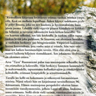 "Muistojeni selkosilta" Arvo Ruonaniemi - pikkukuva 2