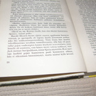 Edgar Rice Burroughs  Tarzanin poika - pikkukuva 2
