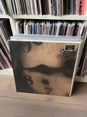 Mark Kozelek : Rock 'N' Roll Singer LP