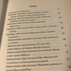 Papukaijakirja. Lemmentarinoita muinaisesta Intiasta - pikkukuva 3