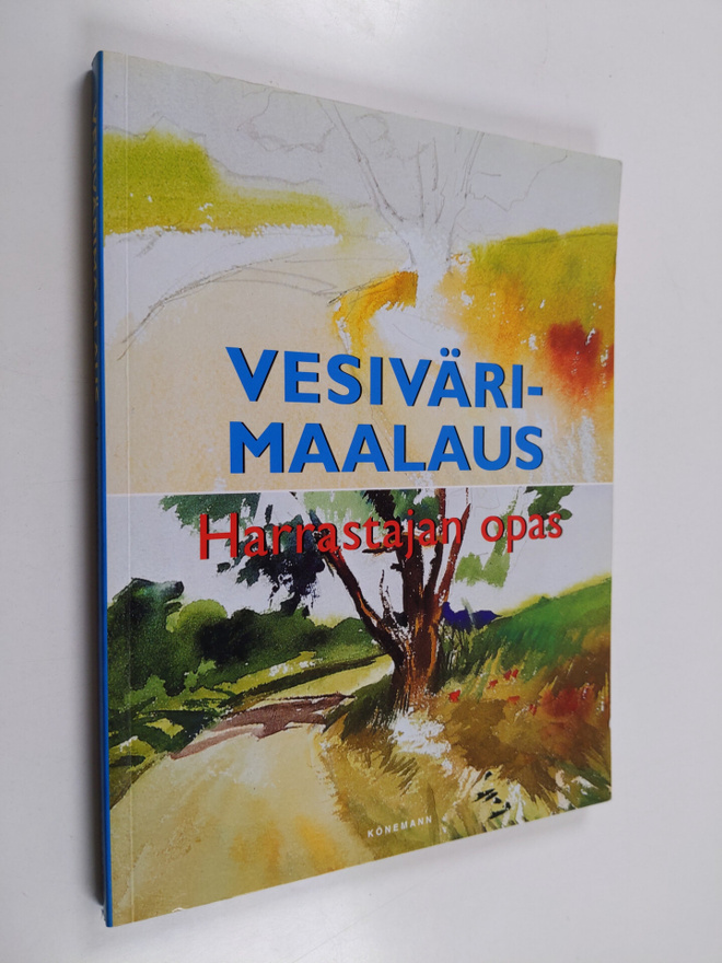 Ramon de Jesus Rodriguez Rodriguez : Vesivärimaalaus : ha...