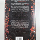 Patrick Rothfuss : The Wise Man's Fear - pikkukuva 2