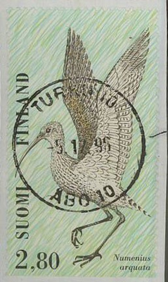 1996 iso-kuovi loisto TURKU -96