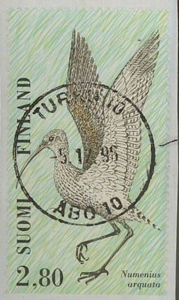 1996 iso-kuovi loisto TURKU -96