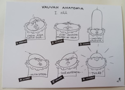 Kari Suomalainen: Vauvan anatomiaa, piirrospk, ei p.