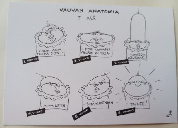 Kari Suomalainen: Vauvan anatomiaa, piirrospk, ei p.