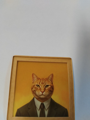 Kissa tarra.