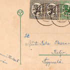 Vanha postikortti-nainen ja hevonen, F Stolte - pikkukuva 2